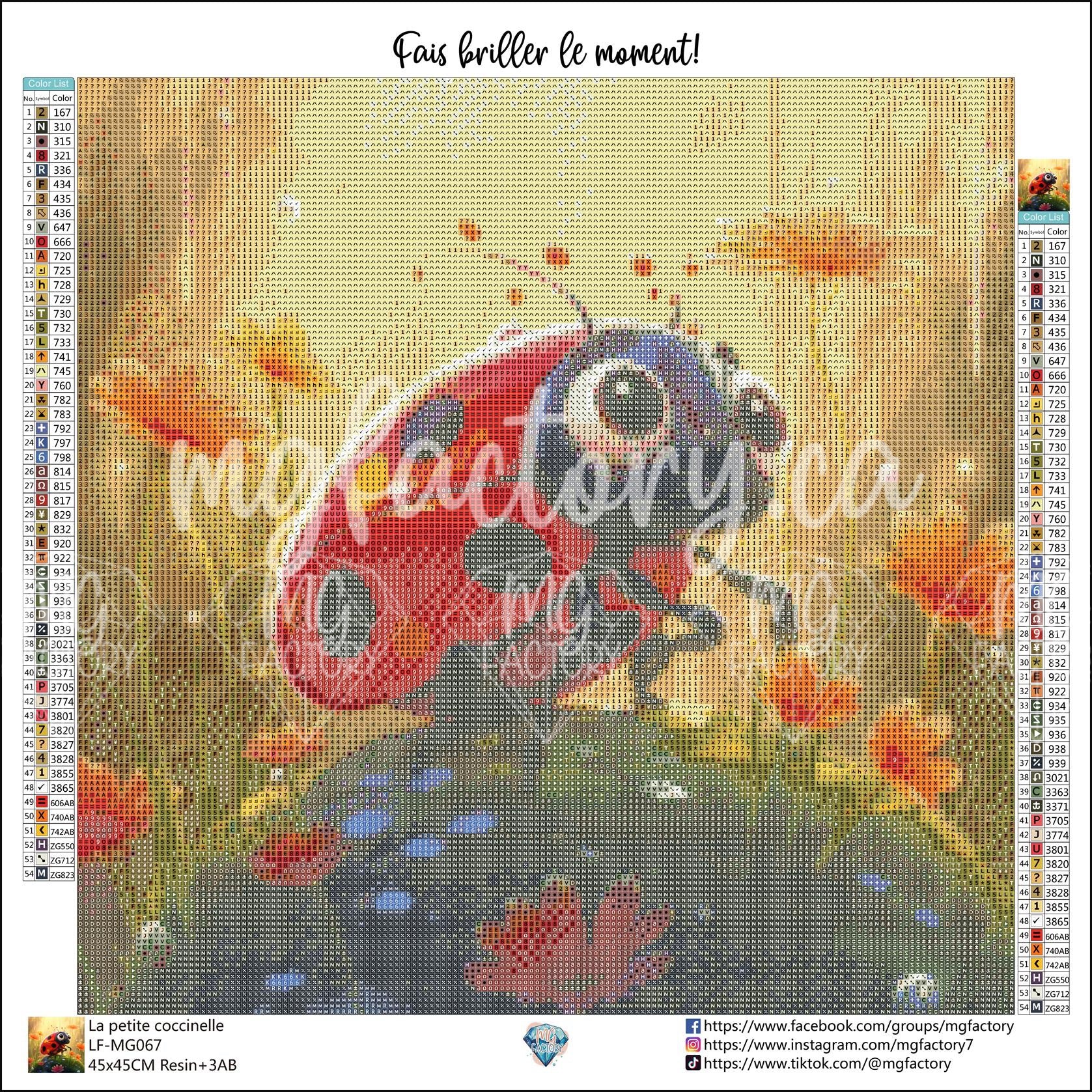 Toile Diamond Painting - La petite coccinelle 45x45cm