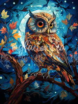 PRÉCOMMANDE Toile Diamond Painting MG-023 - Le hibou 50x65cm - MG Factory